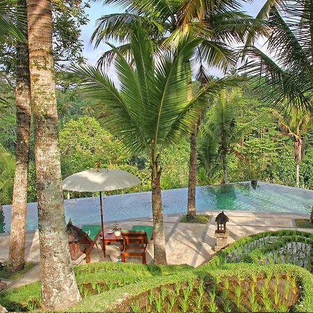 Toya Retreat Villa Tegallalang  Εξωτερικό φωτογραφία
